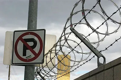 black chain link fence cost