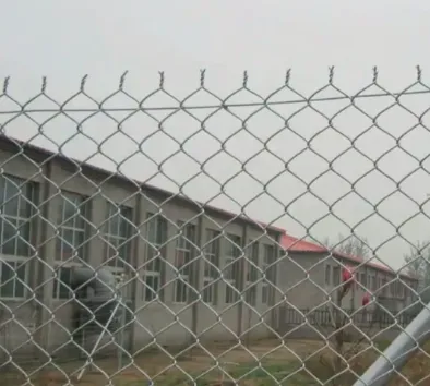 black decorative wire mesh