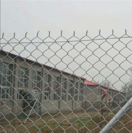 3.0mm Galvanized Chain Link Fence PVC Coated Mesh Rolls Cyclone Wire